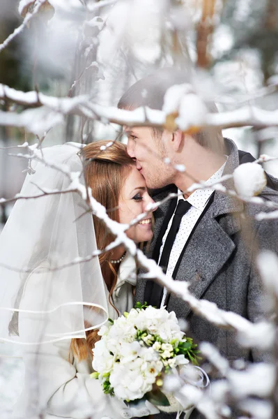 Liebende Braut und Bräutigam — Stockfoto