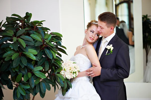 Happy bride and groom about green tree — Stock Photo, Image