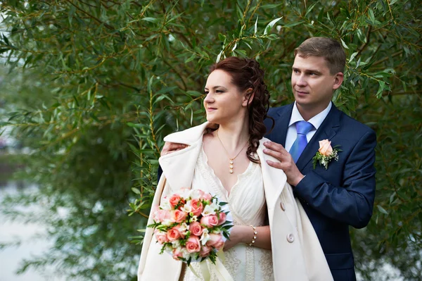 Happy bride and groom near willow tree — Stock Photo, Image