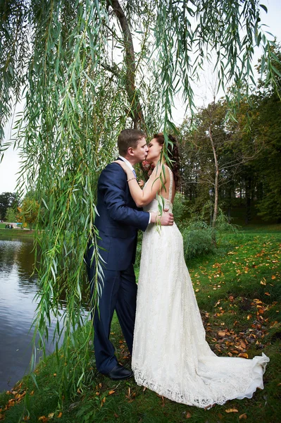 Romantic kiss bride and groom on beautiful nature — Stock Photo, Image