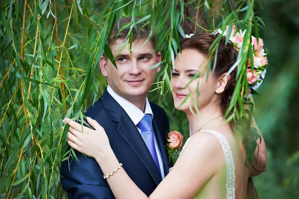 Happy bride and groom near willow tree — Stock Photo, Image
