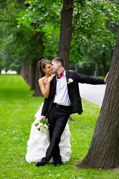 Bride and groom in park — Stock Photo, Image