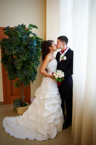 Gyengéd csókot menyasszony és a vőlegény — Stock Fotó