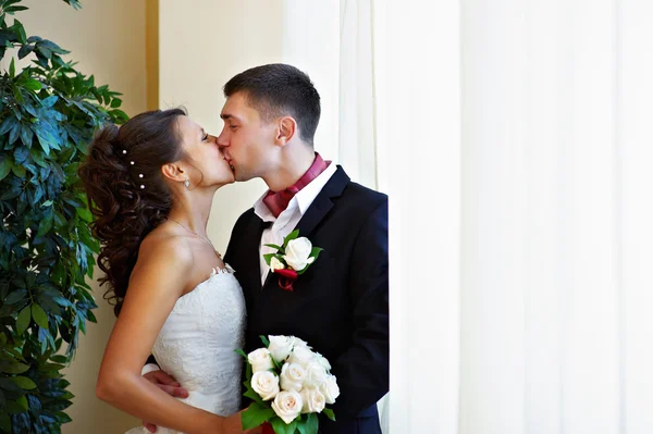 Счастливого поцелуя невесте и жениху — стоковое фото