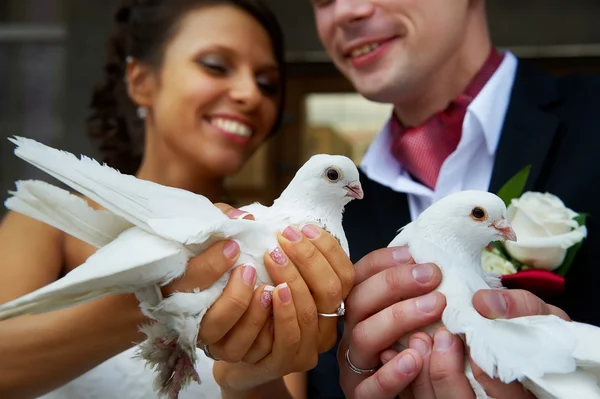 Bride and groom with pigeons in his hands — Stock Photo, Image