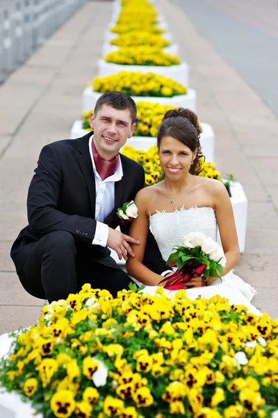 Glückliche Braut und Bräutigam vor dem Hintergrund gelber Blumen — Stockfoto