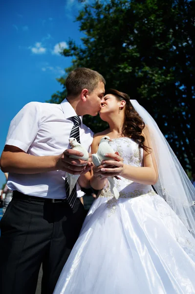 Gelin ve damat beyaz güvercinler ile kiss — Stok fotoğraf