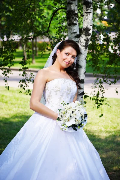 Happy bride at the birches — Stock Photo, Image