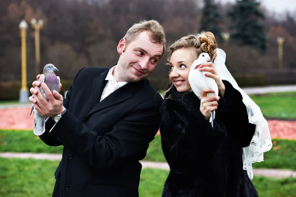 Bride and groom with pigeons on hands — Stock Photo, Image