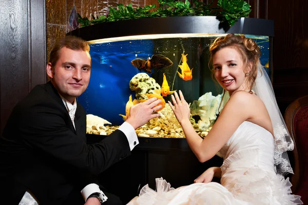 Elegante Braut und Bräutigam über das Aquarium — Stockfoto