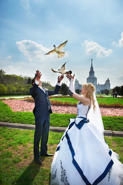 Newlyweds release pigeons — Stock Photo, Image