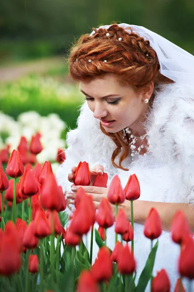 Hermosa novia y tulipanes rojos — Stok fotoğraf