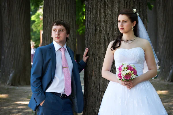 Happy bride and groom about big trees — Stock Photo, Image