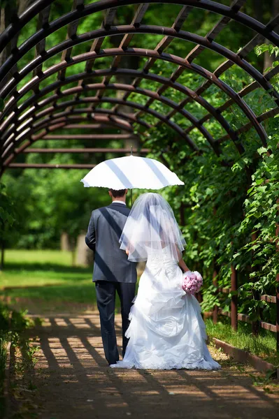 Noiva e noivo vai ao longo do arco — Fotografia de Stock