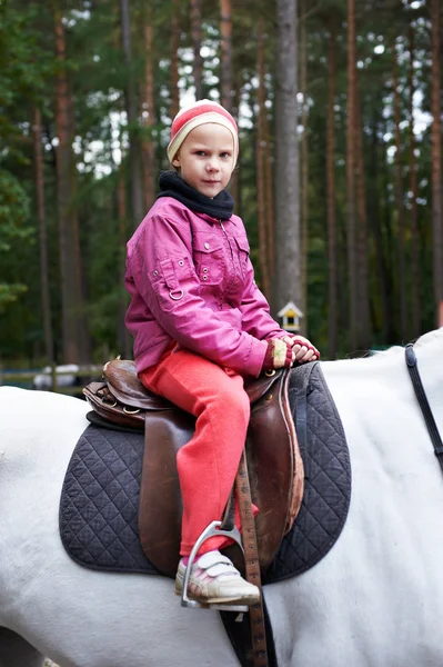 Girl rider on a white horse — Stock Photo, Image