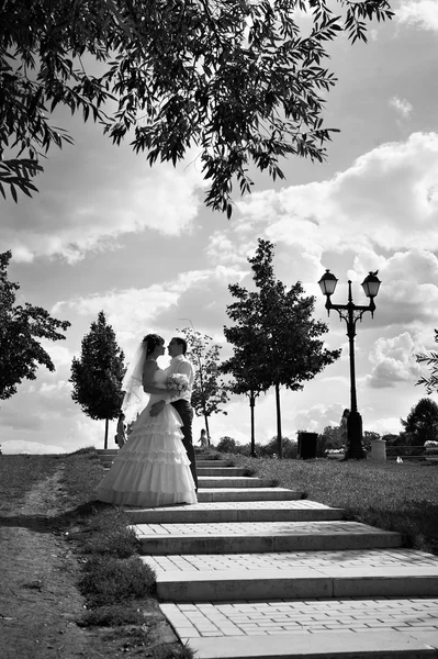 Mariée et marié dans le parc — Photo