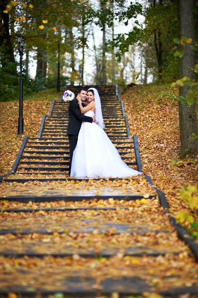 Happy bride and groom in yellow autumn foliage — Stock Photo, Image