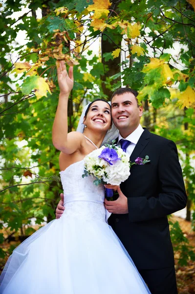 Joyful bride and groom in autumn leaves — Stock Photo, Image