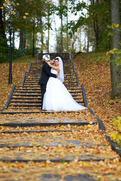 Glückliche Braut und Bräutigam im gelben Herbstlaub — Stockfoto