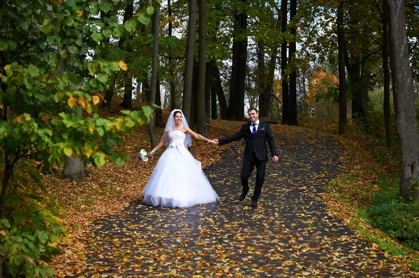 Happy bride and groom walking in yellow autumn park — Stock Photo, Image