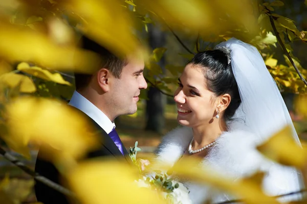 Novia y novio felices en el bosque amarillo de otoño — Foto de Stock