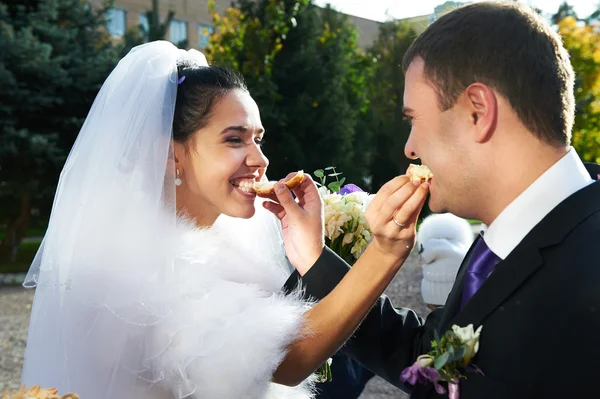 Bride and groom feeds each other wedding loaf — Stock Photo, Image