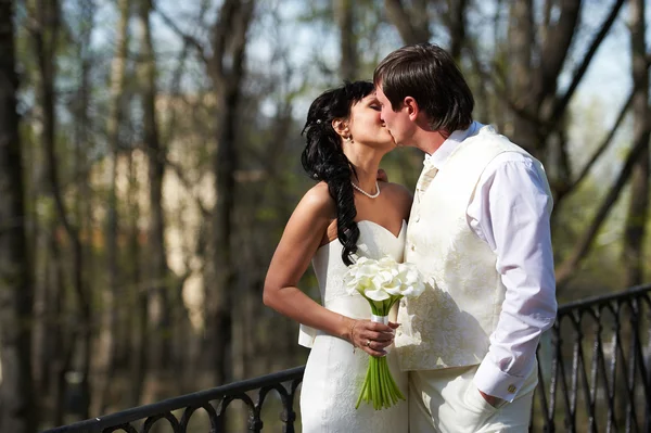 Kiss bride and groom in walking — Stock Photo, Image