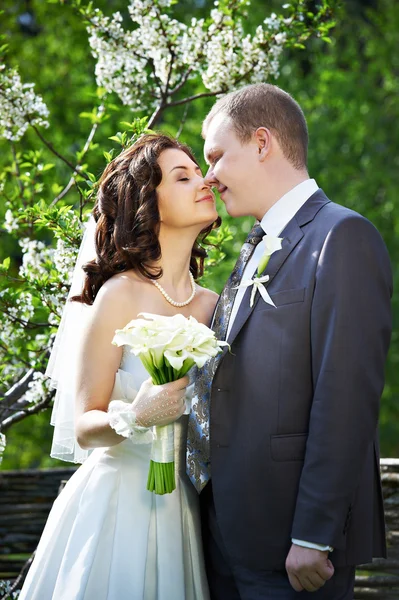 Happy groom and happy bride in spring garden — Stock Photo, Image