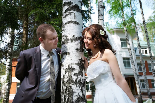 Happy bride and groom near birch — Stock Photo, Image