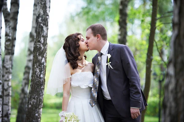 Romantic kiss groom and happy bride — Stock Photo, Image