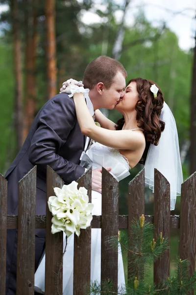 Braut und Bräutigam küssen sich über Holzzaun — Stockfoto