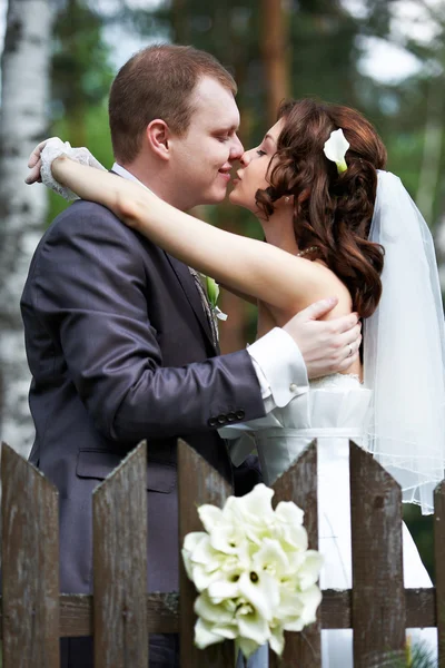 Beso novia y novio sobre valla de madera — Foto de Stock