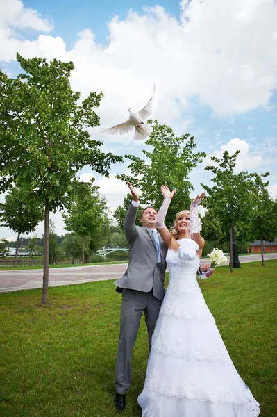 Bride and groom release pigeon — Stock Photo, Image