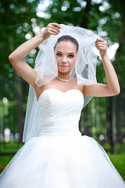 Šťastné nevěsty zvedne závoj — Stock fotografie