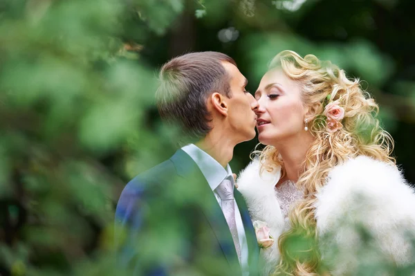 Romantic kiss bride and groom — Stock Photo, Image