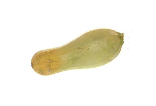 Vegetable Marrow Isolated White Background — Stock Photo, Image
