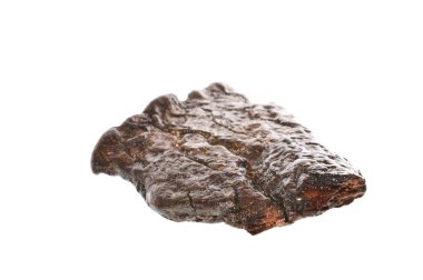 eski ağaç beyaz arka plan üzerinde izole