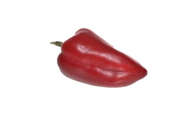 dolma biber beyaz arkaplanda izole edildi