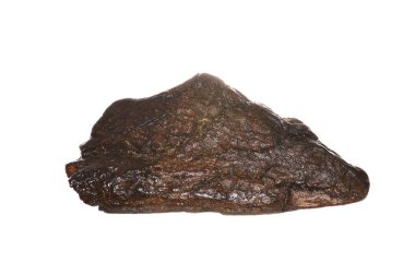 eski ağaç beyaz arka plan üzerinde izole