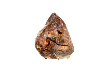 Beyaz arkaplanda küf izole edildi