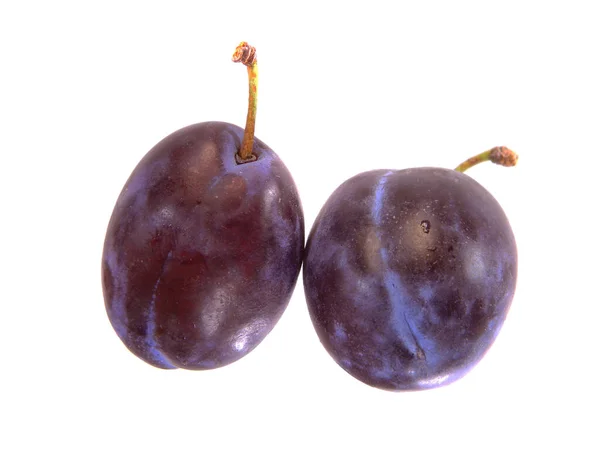 Plum Diisolasi Latar Belakang Putih — Stok Foto