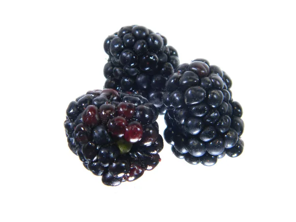 在白色背景上分离的黑莓 — 图库照片