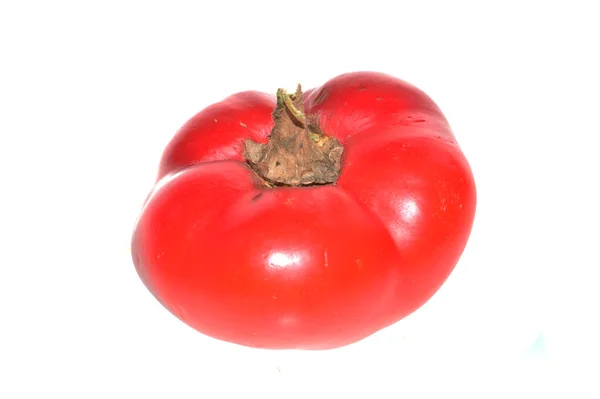 Paprika Geïsoleerd Witte Achtergrond — Stockfoto