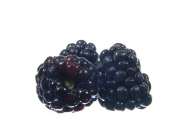                                Blackberry beyaz arkaplanda izole edildi