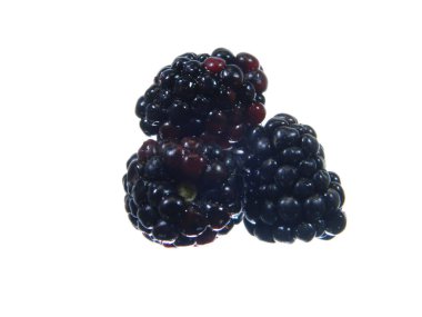                                Blackberry beyaz arkaplanda izole edildi