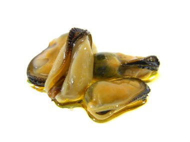                                Beyaz arkaplanda izole edilmiş istiridyeler