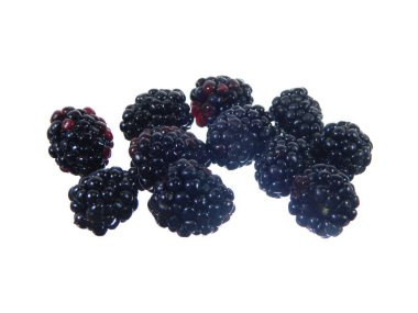                                Blackberry beyaz arkaplanda izole edildi