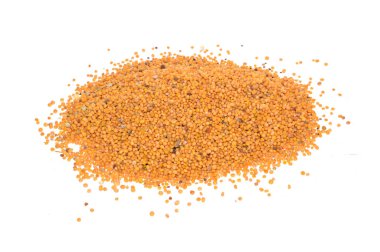 Beyaz arkaplanda yalıtılmış bahçe tohumları