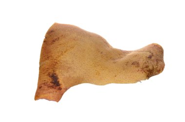 izole üzerinde beyaz arka plan domuz yağı