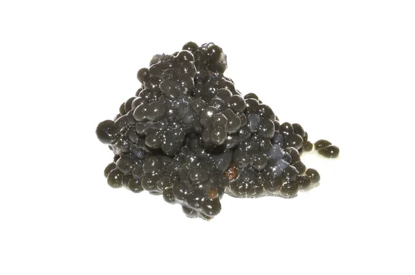 Caviar Preto Isolado Sobre Fundo Branco — Fotografia de Stock